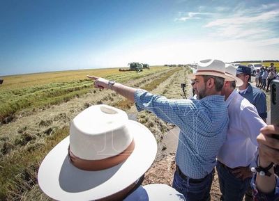Jefe de Estado llamó a la reflexión para evitar inestabilidad en el país