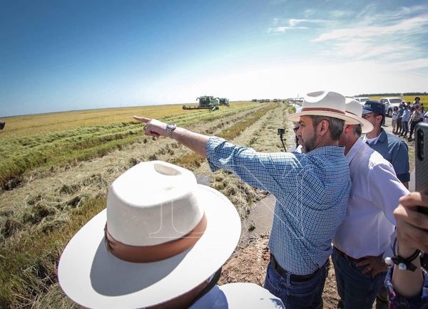 Jefe de Estado llamó a la reflexión para evitar inestabilidad en el país