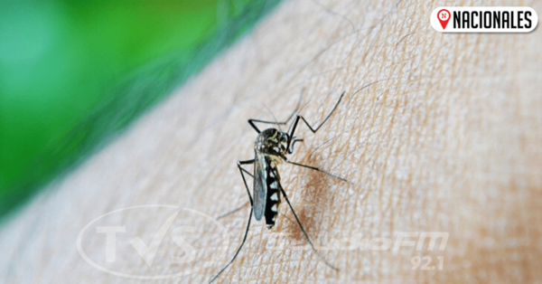 Dengue: Segunda mayor epidemia suma 34 muertos y va al interior