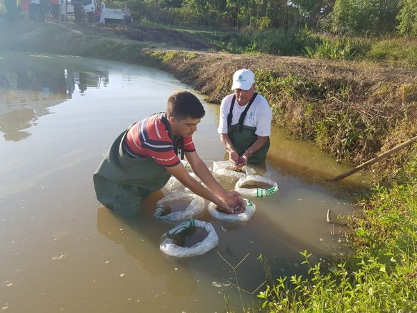 Piscicultores de Itapúa reciben asistencia de la EBY