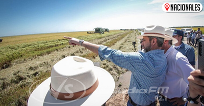 “Está trabajando bien Eduardito”, dice Abdo sobre Petta