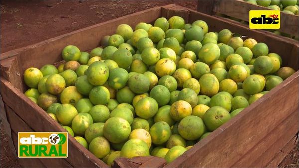Programa 15: Frutika - ABC Rural - ABC Color