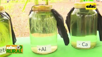 Programa 15: Compactación de suelos - ABC Rural - ABC Color