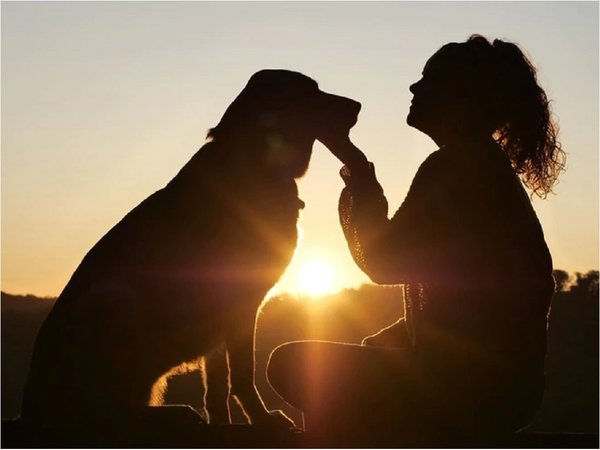 La historia detrás de la amistad de los perros y las personas