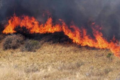 Incendio de pastizales en inmediaciones del Aeropuerto Silvio Pettirossi » Ñanduti
