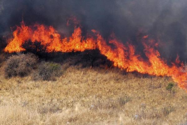 Incendio de pastizales en inmediaciones del Aeropuerto Silvio Pettirossi » Ñanduti