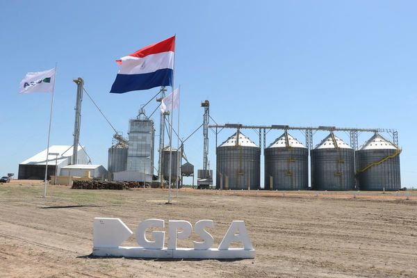 Grupo GPSA se prepara para exportar arrozal mercado africano