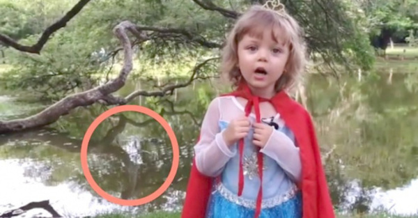 ¡Un yacaré detrás de la hija de Dallys!