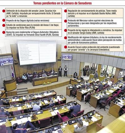 Caso ZI, seguro automotor y agrícola definirá Senado - Política - ABC Color
