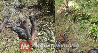 DESESPERANTES HECHOS DE ABIGEATO EN SAN JUAN DEL PARANÁ