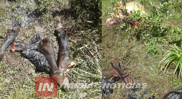 DESESPERANTES HECHOS DE ABIGEATO EN SAN JUAN DEL PARANÁ