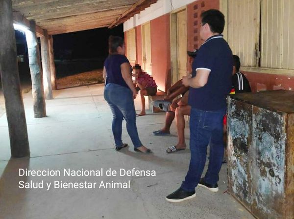 Denuncian matanza masiva de perros en el Chaco - Nacionales - ABC Color