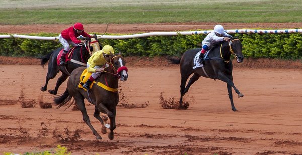 Vuelve la gran fiesta del turf nacional en el Jockey Club