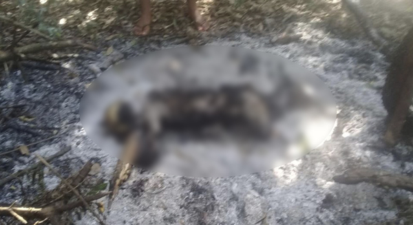 HALLAN CADÁVER CALCINADO EN MINGA GUAZÚ