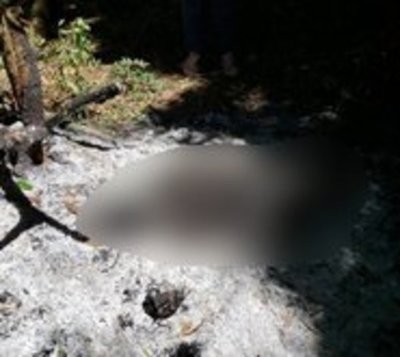 Encuentran cadáver calcinado en Minga Guazú - Paraguay.com