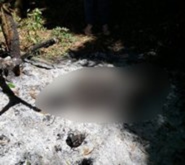 Encuentran cadáver calcinado en Minga Guazú - Paraguay.com