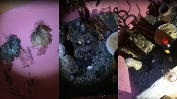 Caso Naidelin: Oficial confirma rastros de un ritual en casa allanada » Ñanduti