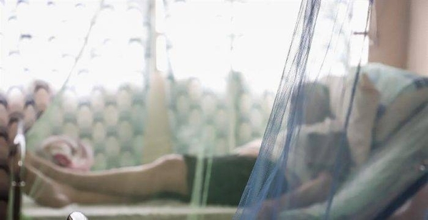 HOY / Fallecimiento de una mujer eleva a tres las muertes por dengue en Argentina