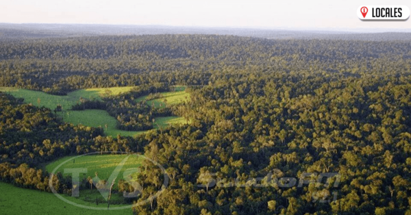 INFONA realiza controles para cuidar los espacios verdes en Itapúa