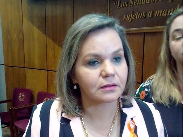 Senadora tildó de 'parche' a la ley de Financiamiento Político