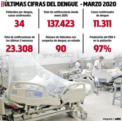 En Luque disminuyen las notificaciones de dengue - Locales - ABC Color