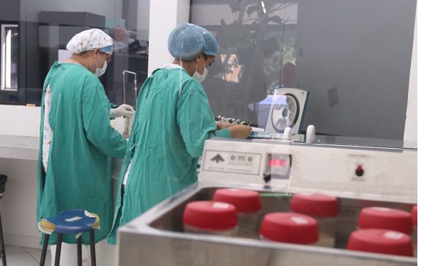"Donar leche es donar amor": buscan promover la lactancia materna como estrategia de salud pública » Ñanduti