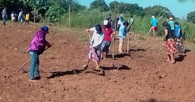 Comunidades indígenas se fortalecen como productores de alimentos | .::Agencia IP::.