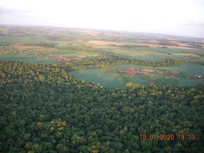 Día Mundial de la Naturaleza llama a proteger fauna y flora