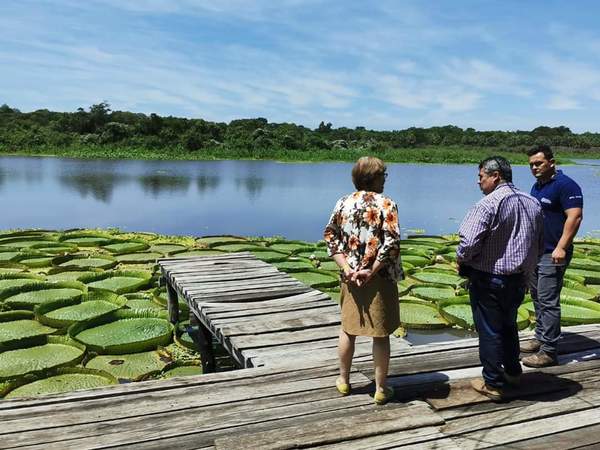En Limpio instan a valorar y proteger planta acuática en peligro de extinción | .::Agencia IP::.