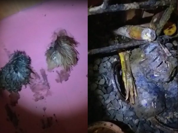 Vecinos quieren quemar casa "satánica"