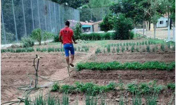 Adolescentes de centros educativos inician cursos de capacitación laboral » Ñanduti