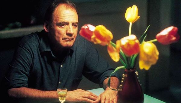 Ciclo de cine de FADA mostrará “Pan y tulipanes” - Cine y TV - ABC Color