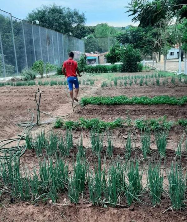 Jóvenes de centros educativos reciben capacitación laboral