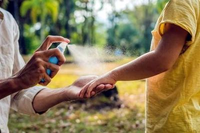 Se insta a los pacientes diabéticos a tener especial cuidado con el dengue | Lambaré Informativo