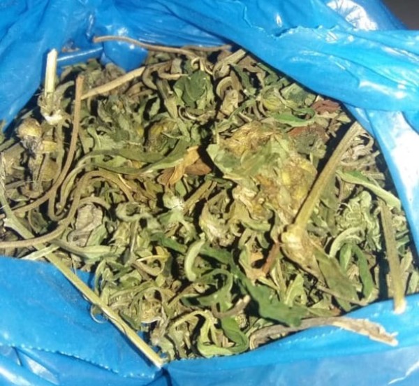 Visitantes intentaron ingresar hojas de marihuana en granja penitenciaria | Lambaré Informativo