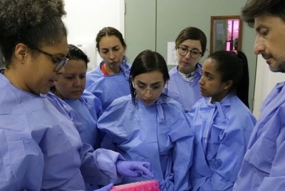 Paraguay, entre los 9 países de las Américas que realizan examen para detectar nuevo coronavirus | Lambaré Informativo