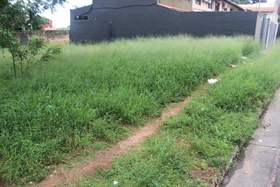 Pese a riesgos para la salud comuna no limpia su baldío | Lambaré Informativo