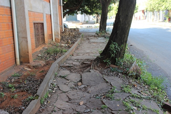 Veredas en pésimo estado | Lambaré Informativo