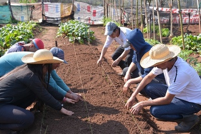 Internos de Villarrica producen alimentos para autoconsumo | Lambaré Informativo