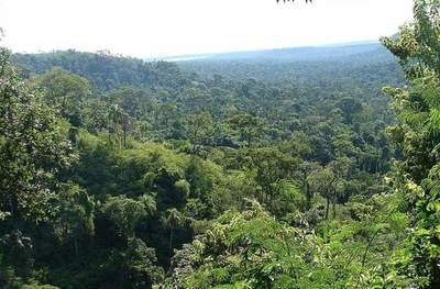 HAGAMOS firmará compromiso por el ambiente y el desarrollo sostenible | Lambaré Informativo