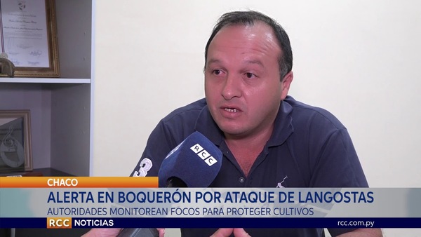 ALERTA DEPARTAMENTAL POR ATAQUE DE LANGOSTAS EN BOQUERÓN