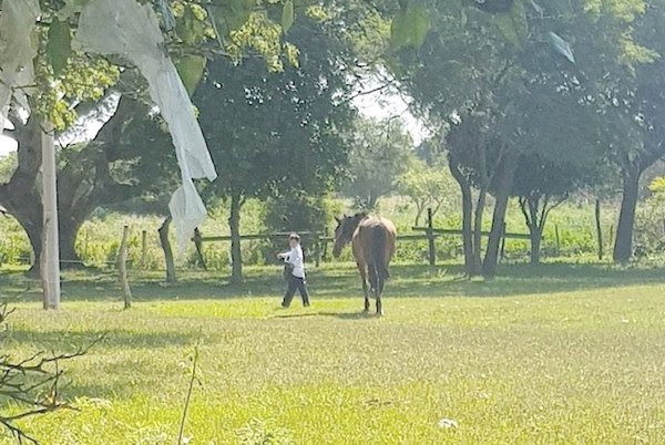 El alumnito que va a la escuela ¡Kavaju ári! | Crónica