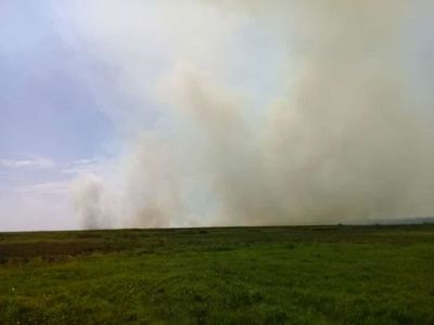 Incendio a orillas del Lago Ypoá, importante recurso natural de nuestro país  - Nacionales - ABC Color