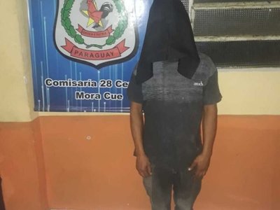 Albañil robó y abusó de una señora