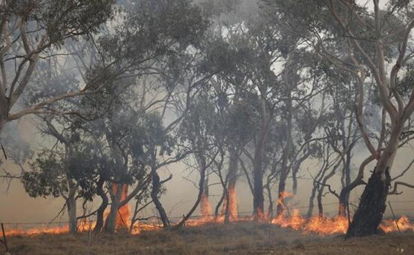 Satélites para predecir los incendios forestales en Australia » Ñanduti