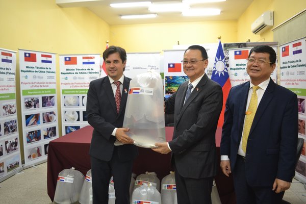 Taiwán dona alevines de surubí para multiplicar peces e ingresos de productores | .::Agencia IP::.