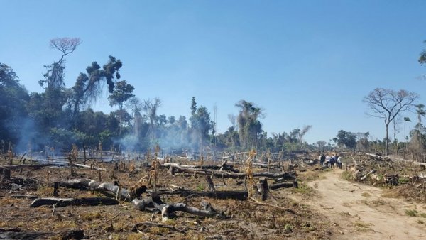 Cúpula católica y otros religiosos alertan sobre sobornos para atentar contra leyes ambientales - ADN Paraguayo