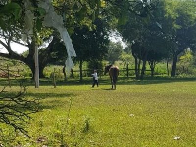 Profe pidió mochila y cartuchera para su alumno que va a la escuela a caballo