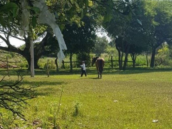 Profe pidió mochila y cartuchera para su alumno que va a la escuela a caballo