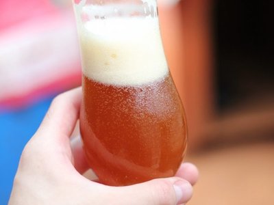 Presentarán cerveza de frutilla en festival